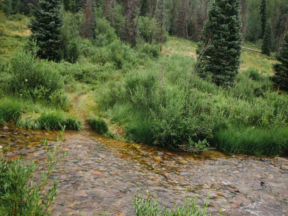 Miners Creek Trail photo 4