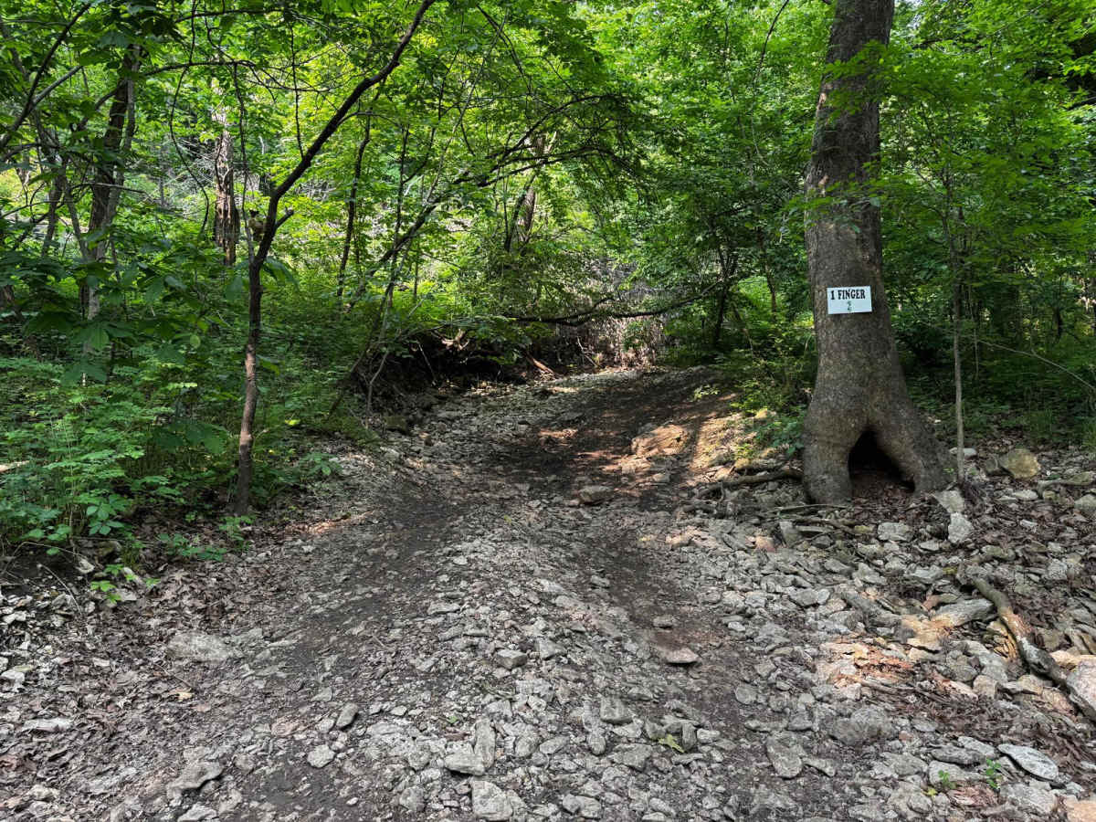 1 Finger 129 trail photo