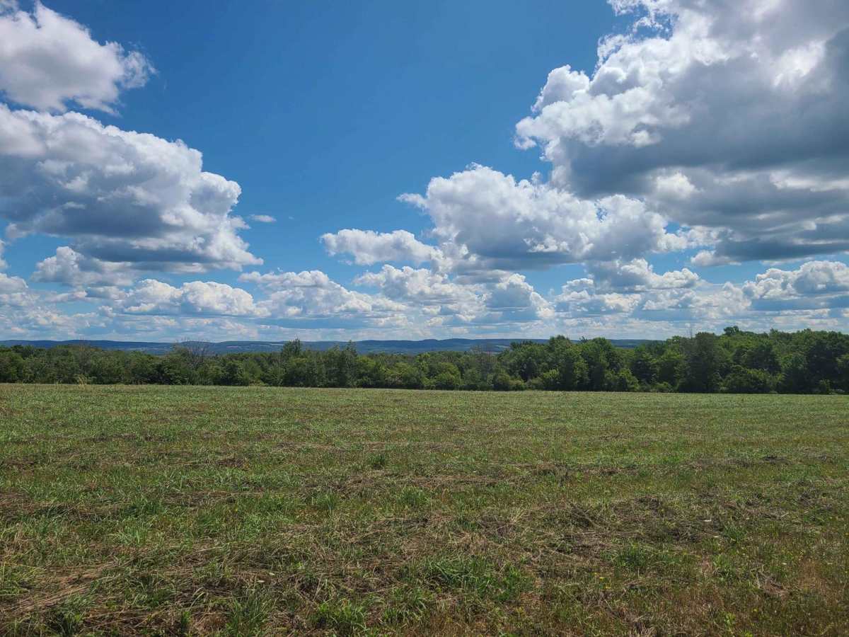 Van Amburg Road photo 2