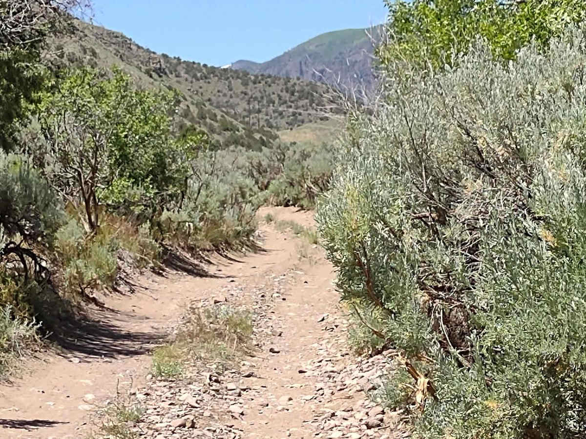City Creek Canyon (FS# 40133) photo 4