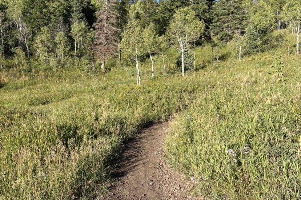 Ridge Connector (2216)