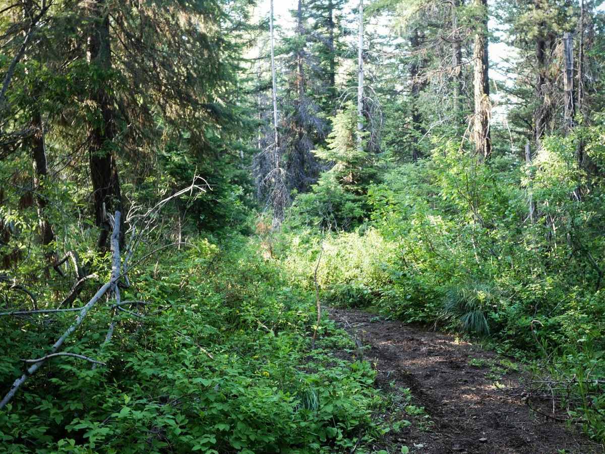 Elsie Peak photo 5