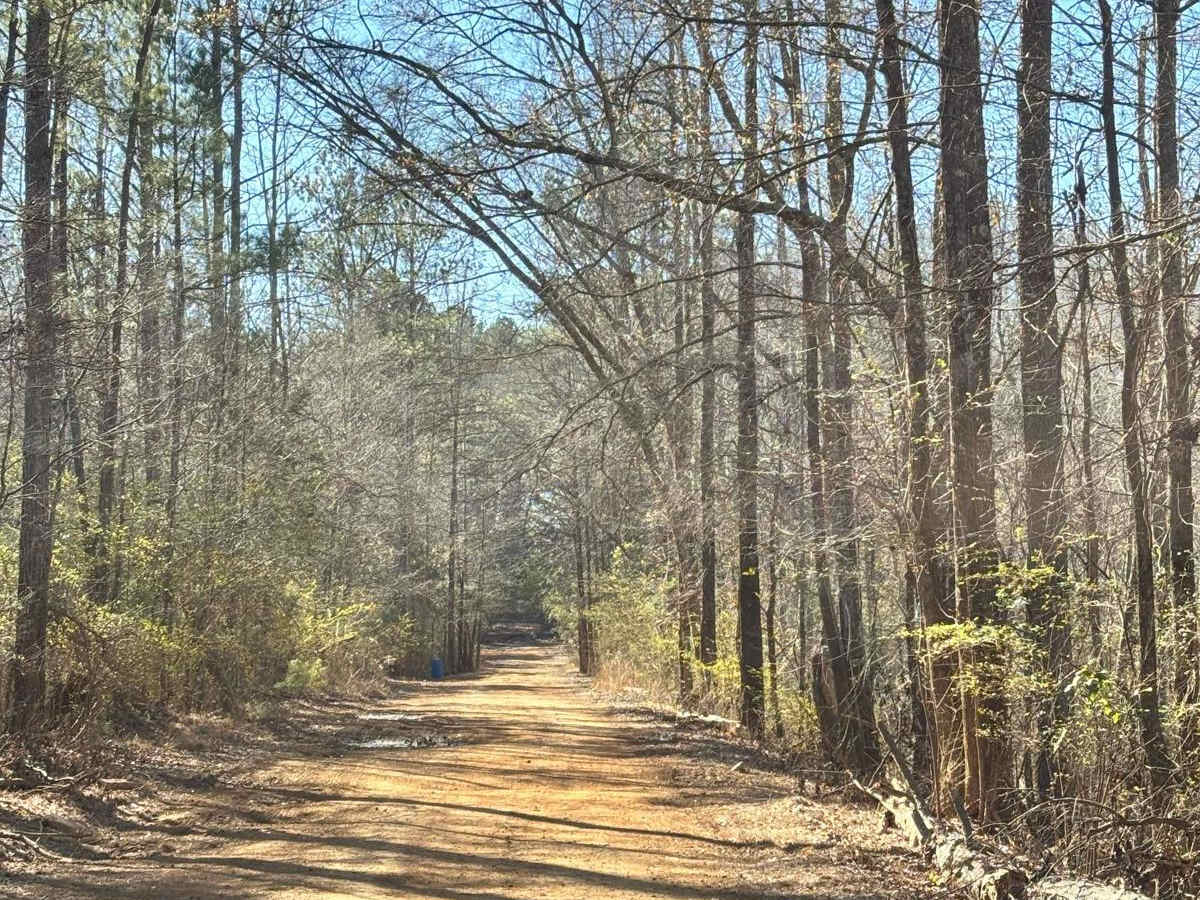 Creek Trail photo 3