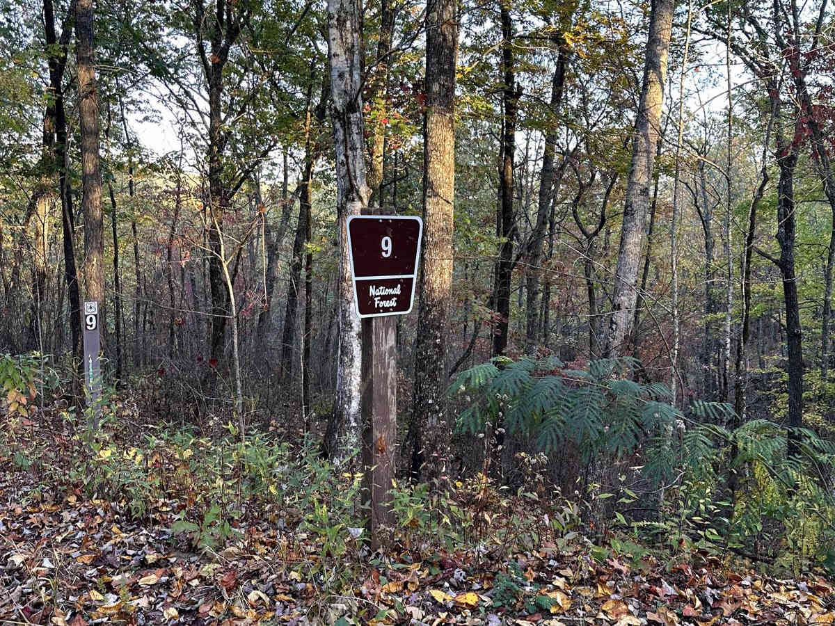 Lick Log Creek photo 4