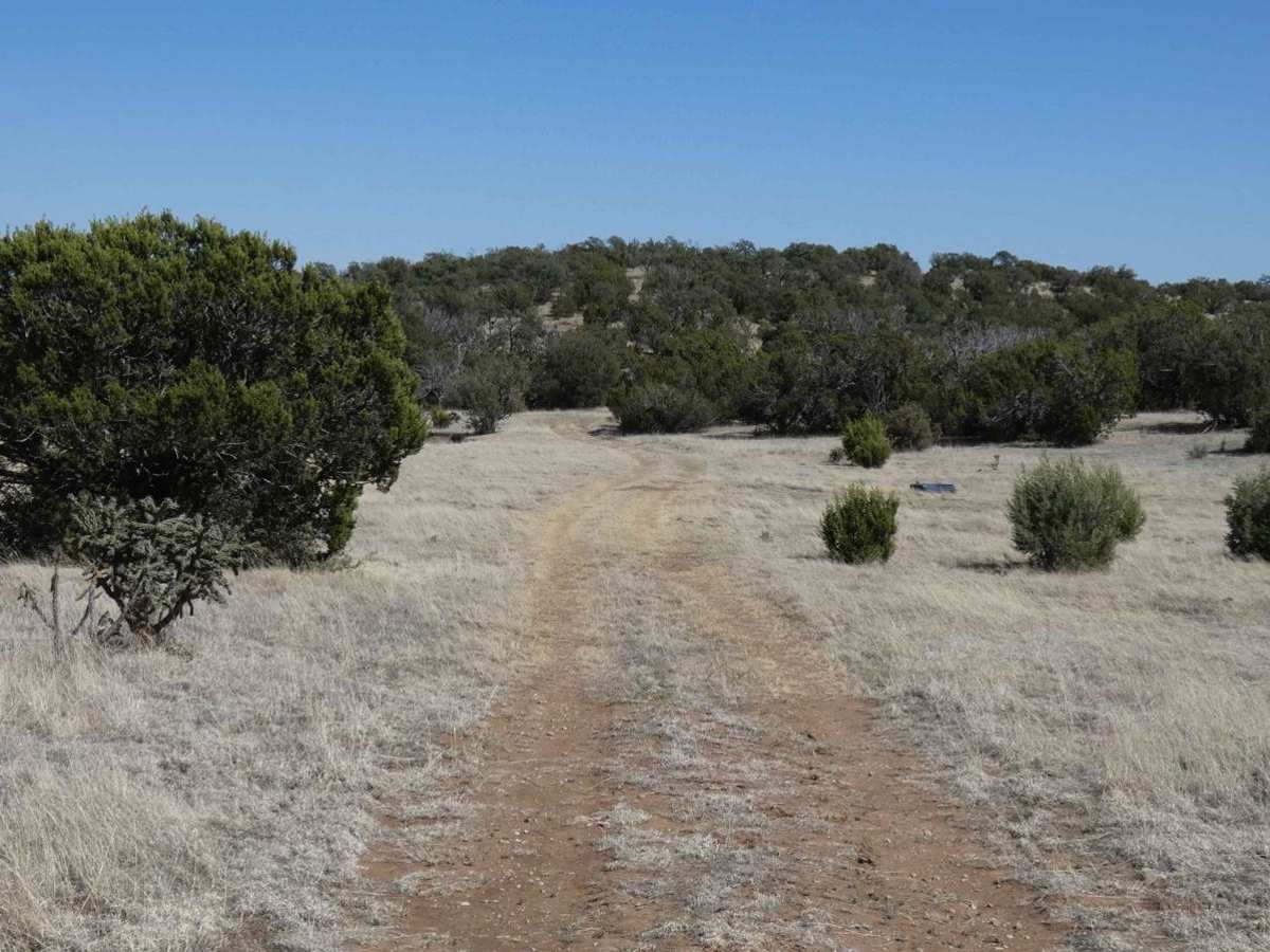 Crooked Canyon photo 6