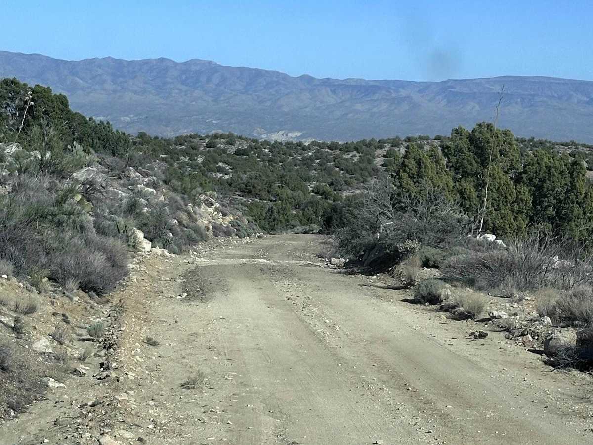 BLM 7252 photo 5