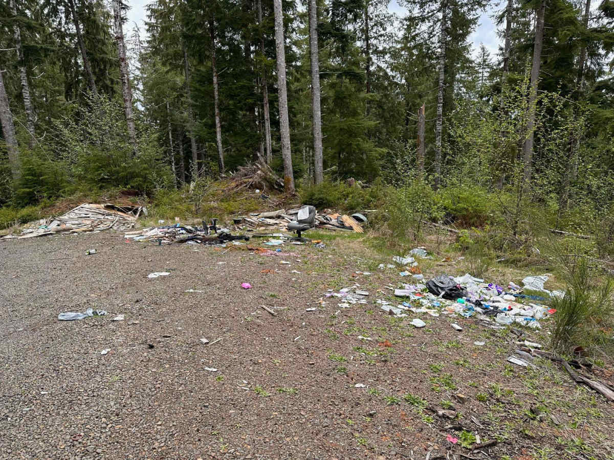 Cole Mtn Ridge photo 5