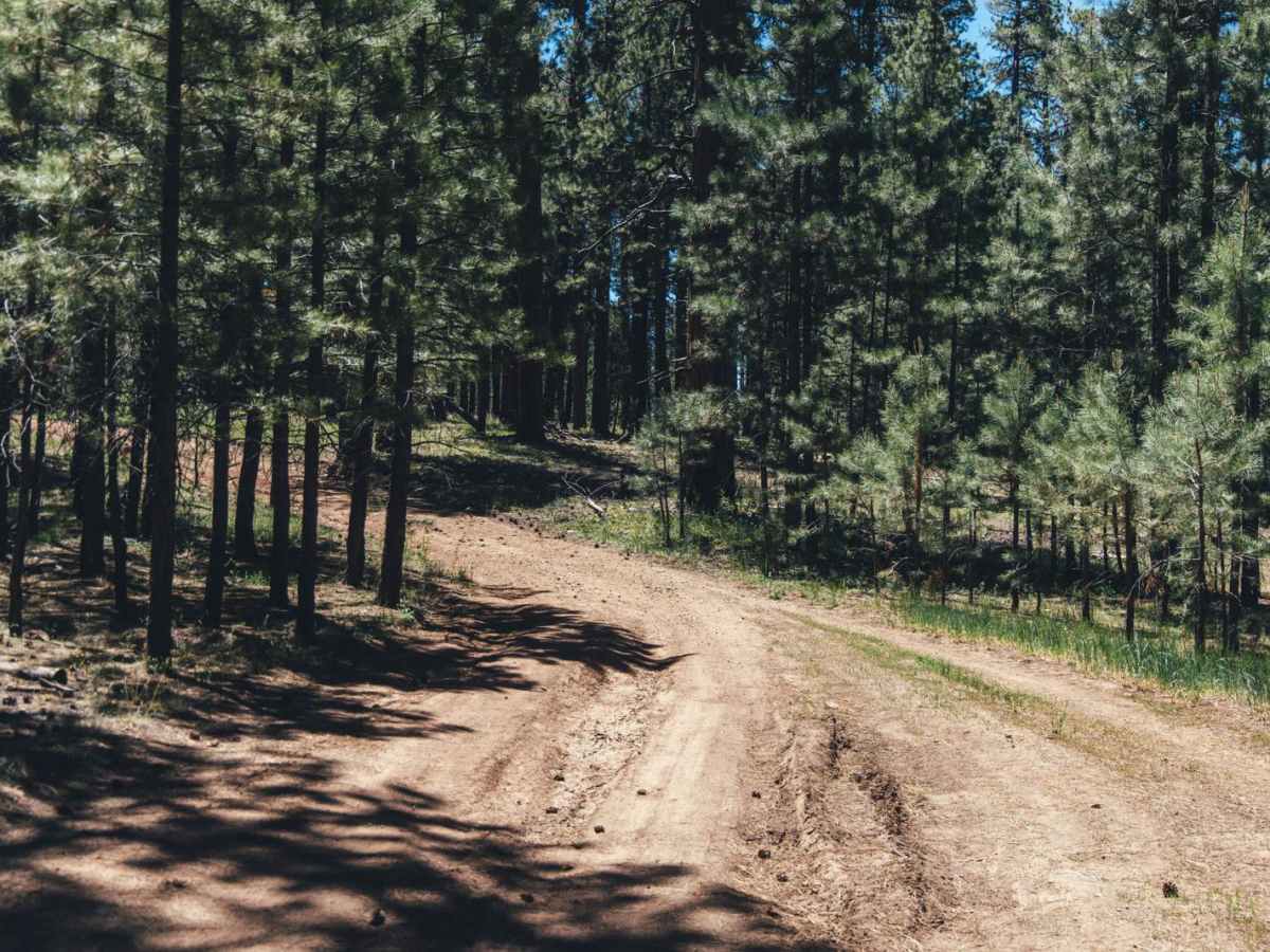 FR 259 photo 2