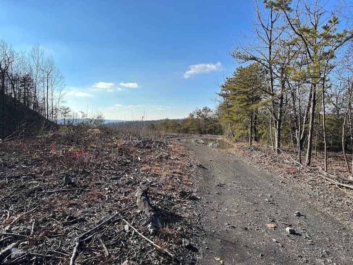 Darkwater 84 trail photo