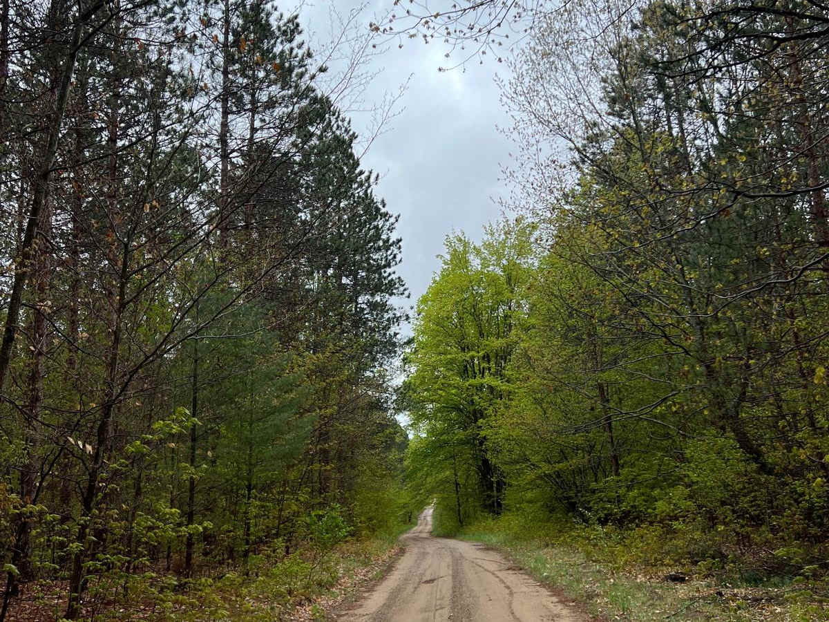 15 Trail photo 3