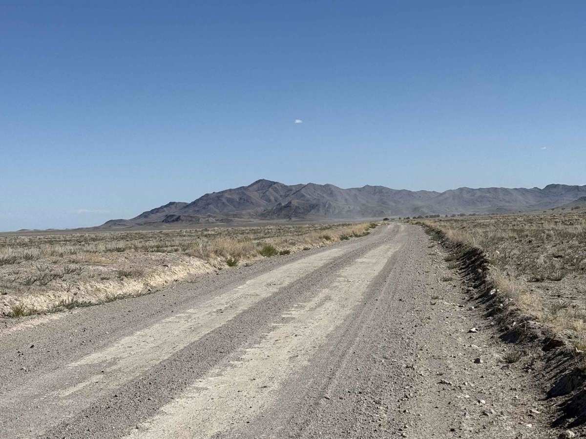 14 Mile Road photo 3
