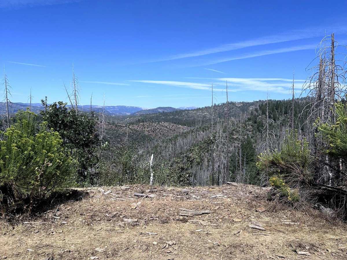 Packard Canyon Road photo 6