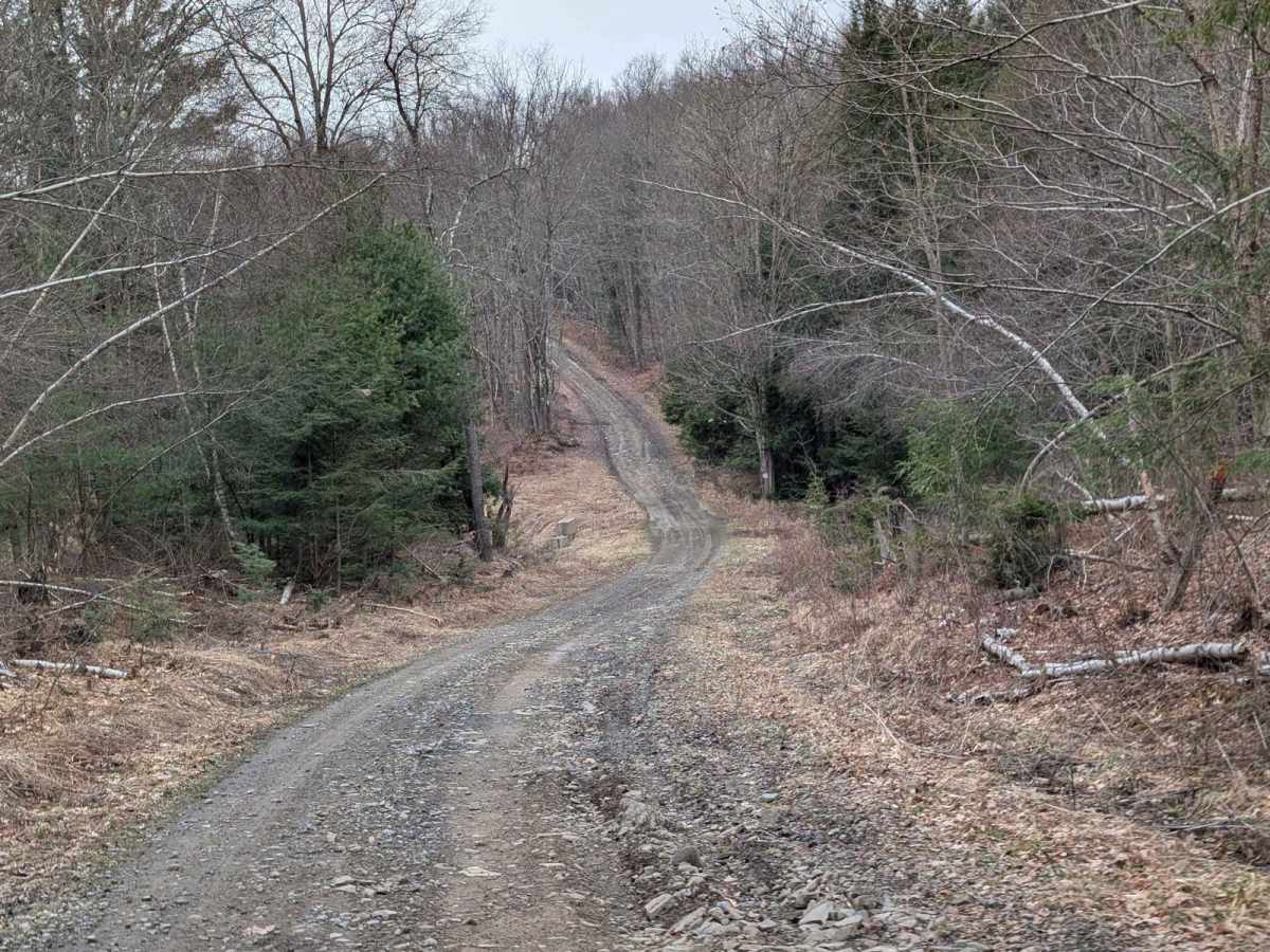 Slocum Hill Road photo 6