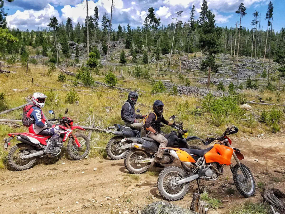 FS 204 trail photo