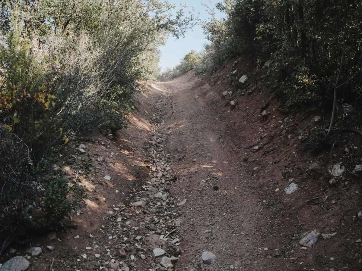 Cottonwood Loop #509 photo 2