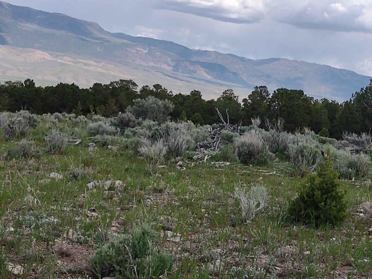 Cottonwood-Bullion Interconnect Trail to Hwy 89 photo 2