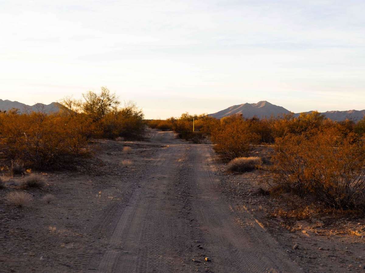 Pipeline to Nosedive photo 5