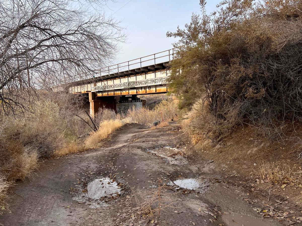Snake River Grassy Trail photo 6