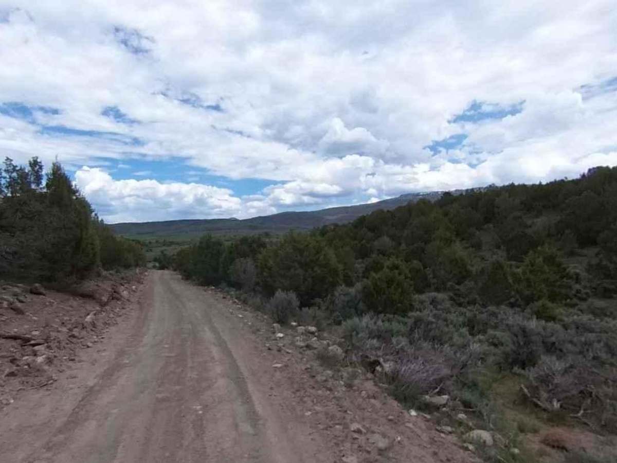 Lost Creek Rex Reservoir- FS 40053 photo 5