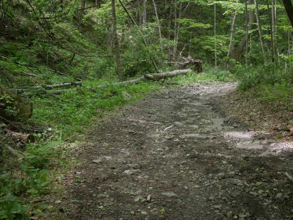 MV22 photo 3