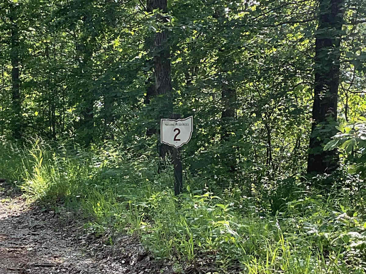 State Forest Road 2 photo 4