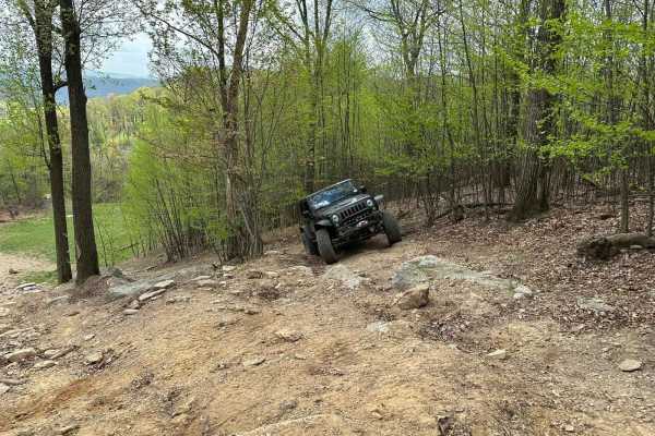 BFG Hill Black