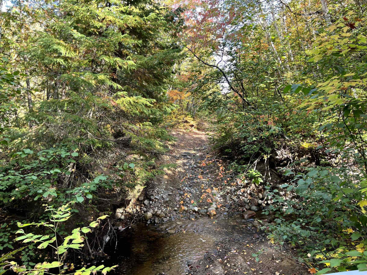 Washout Way photo 4