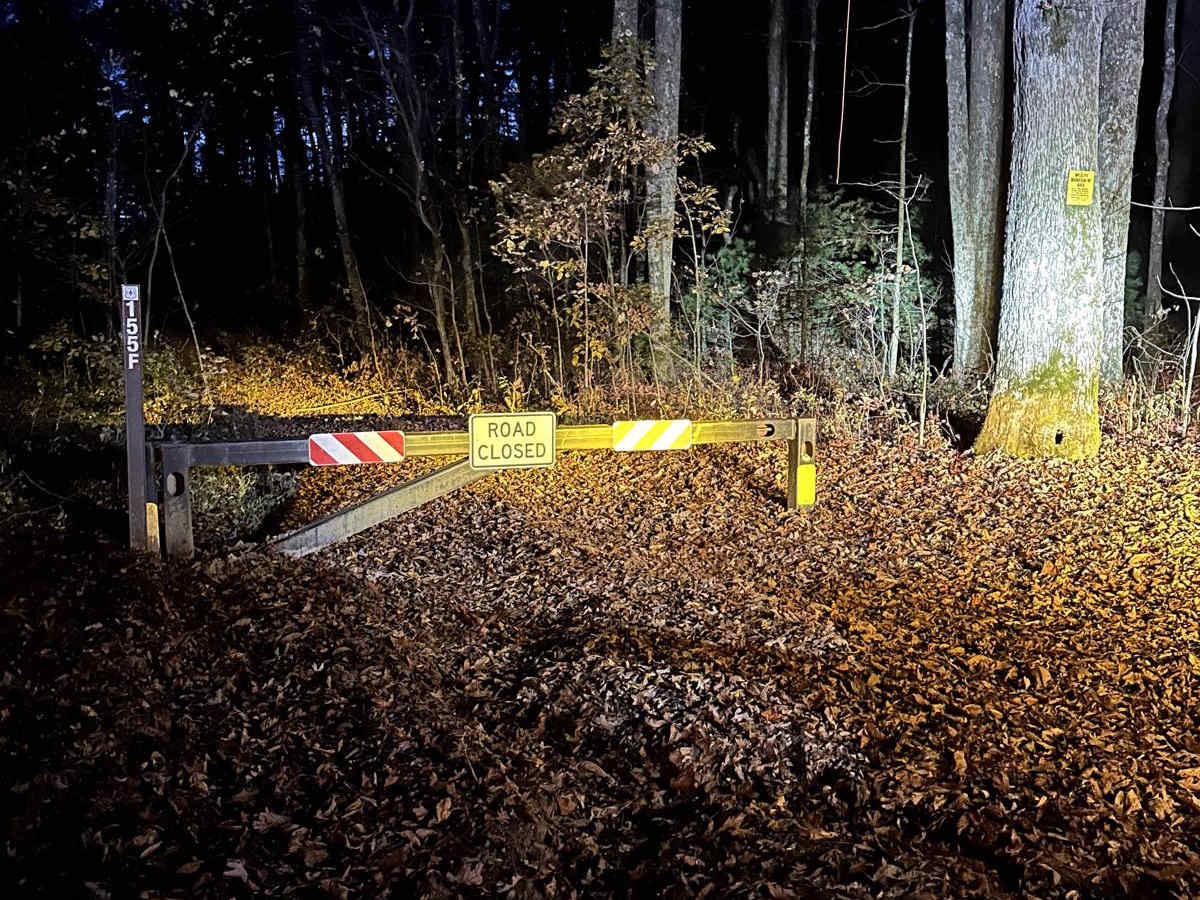 Walnut Fork photo 5
