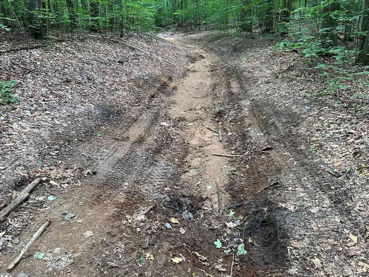 Fine Line Trail - FS 5775 photo 3