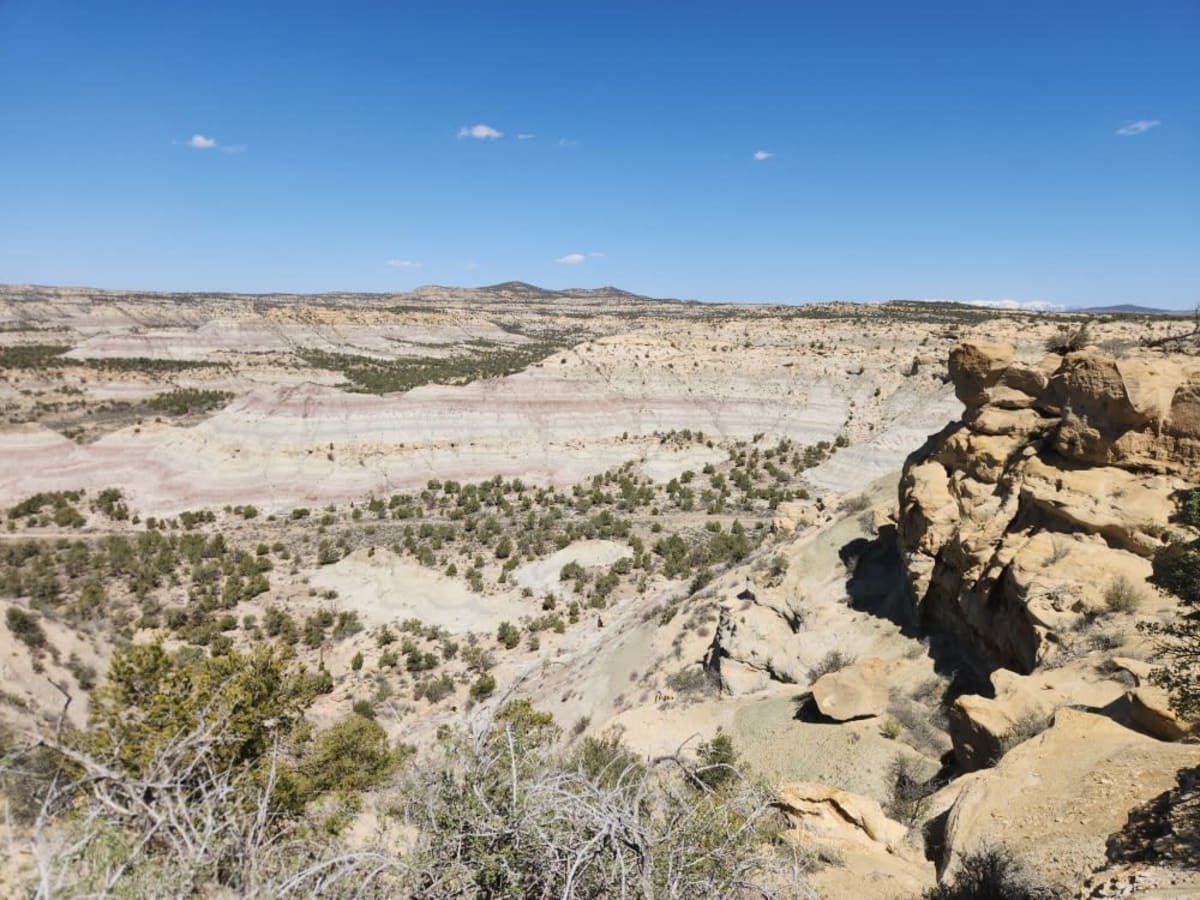 Glade North - Upper Mesa Trail photo 6