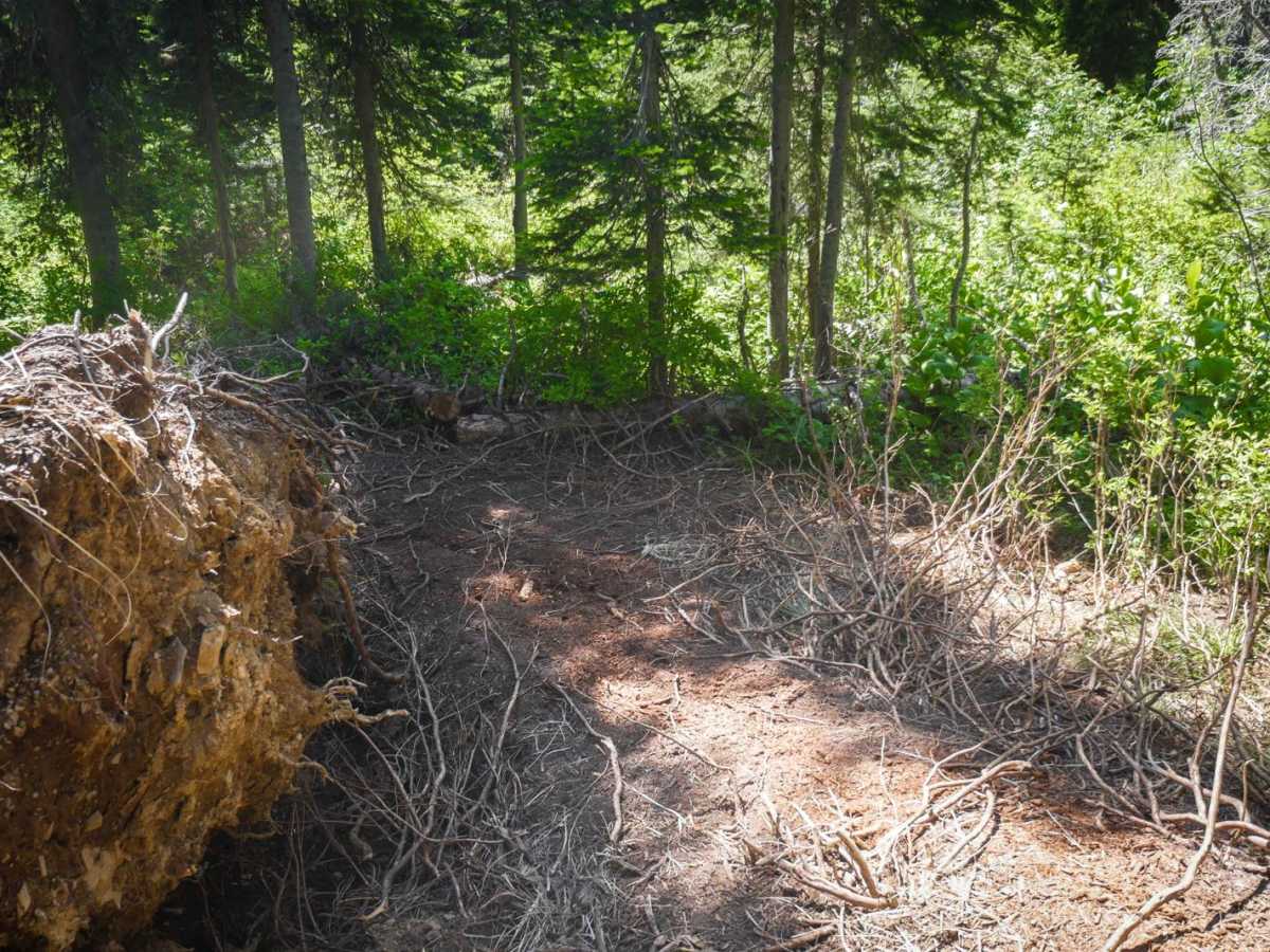 Lake Elsie ATV photo 6