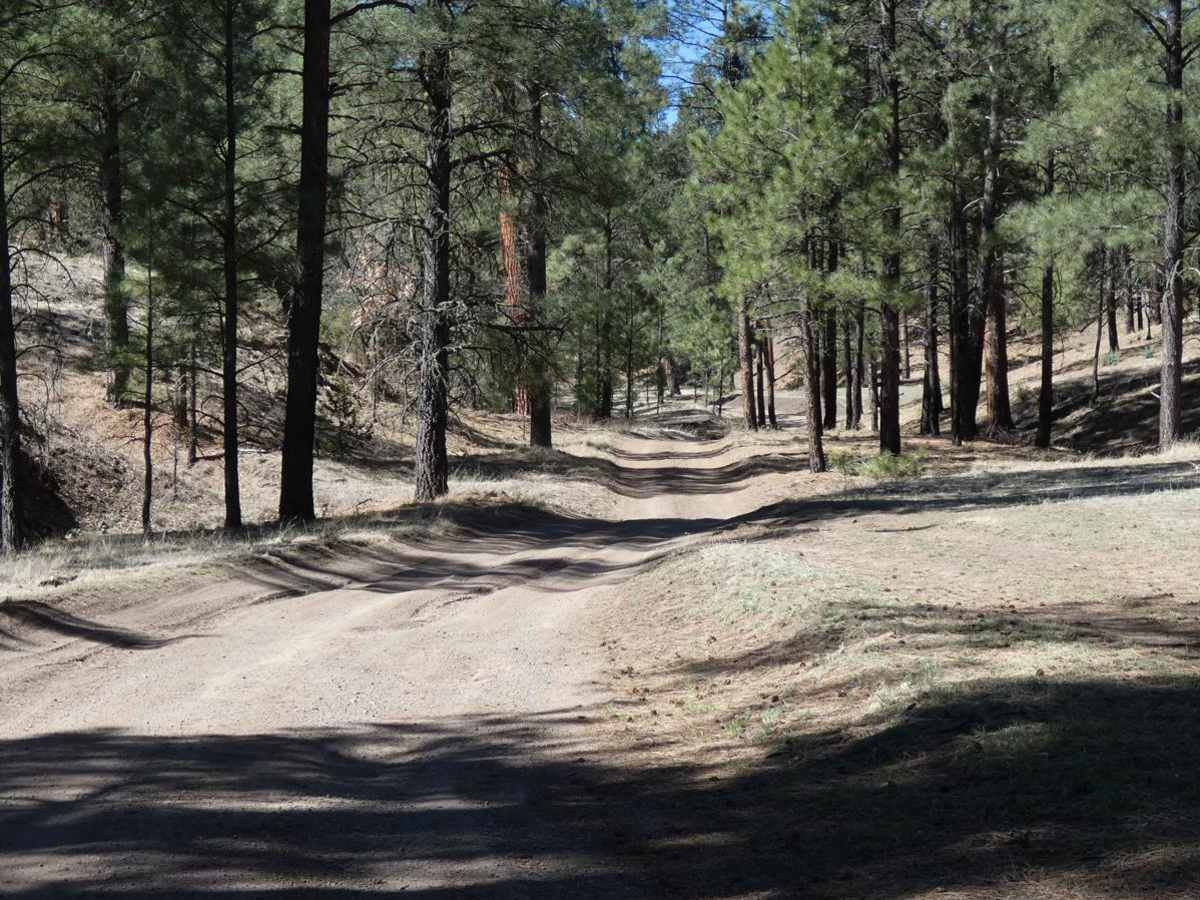 Frank's Ranch Road photo 3