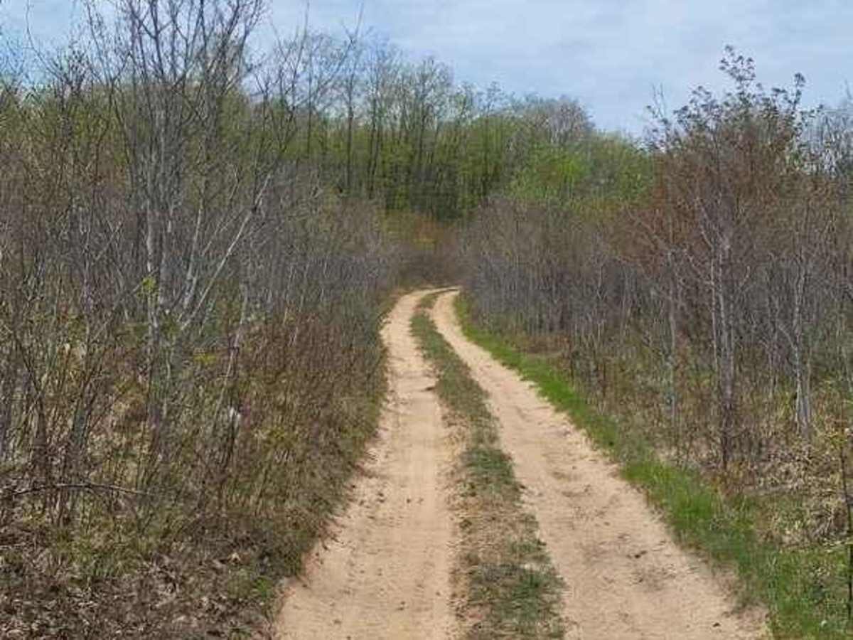 St. Helen ORV Route - South photo 4