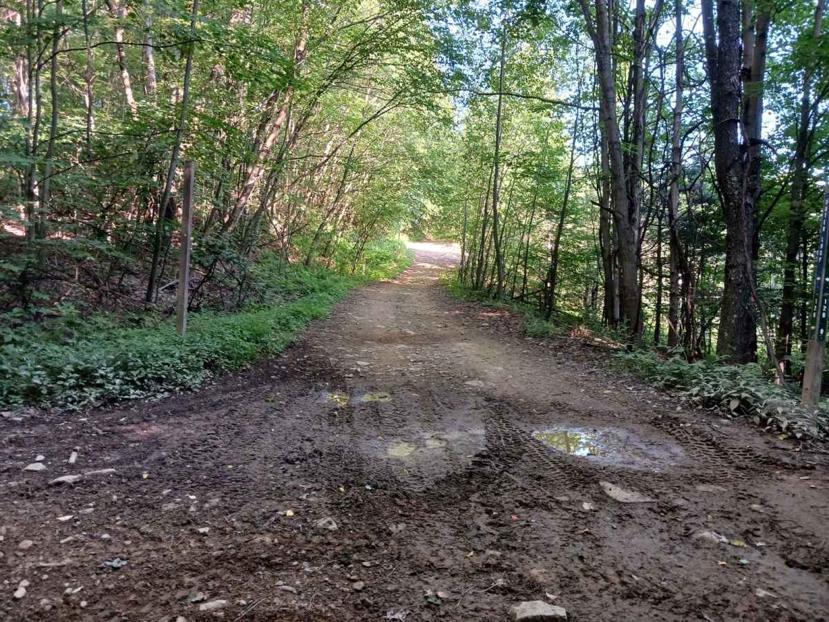 Trail 12B - Rock Run Recreation Area photo 3