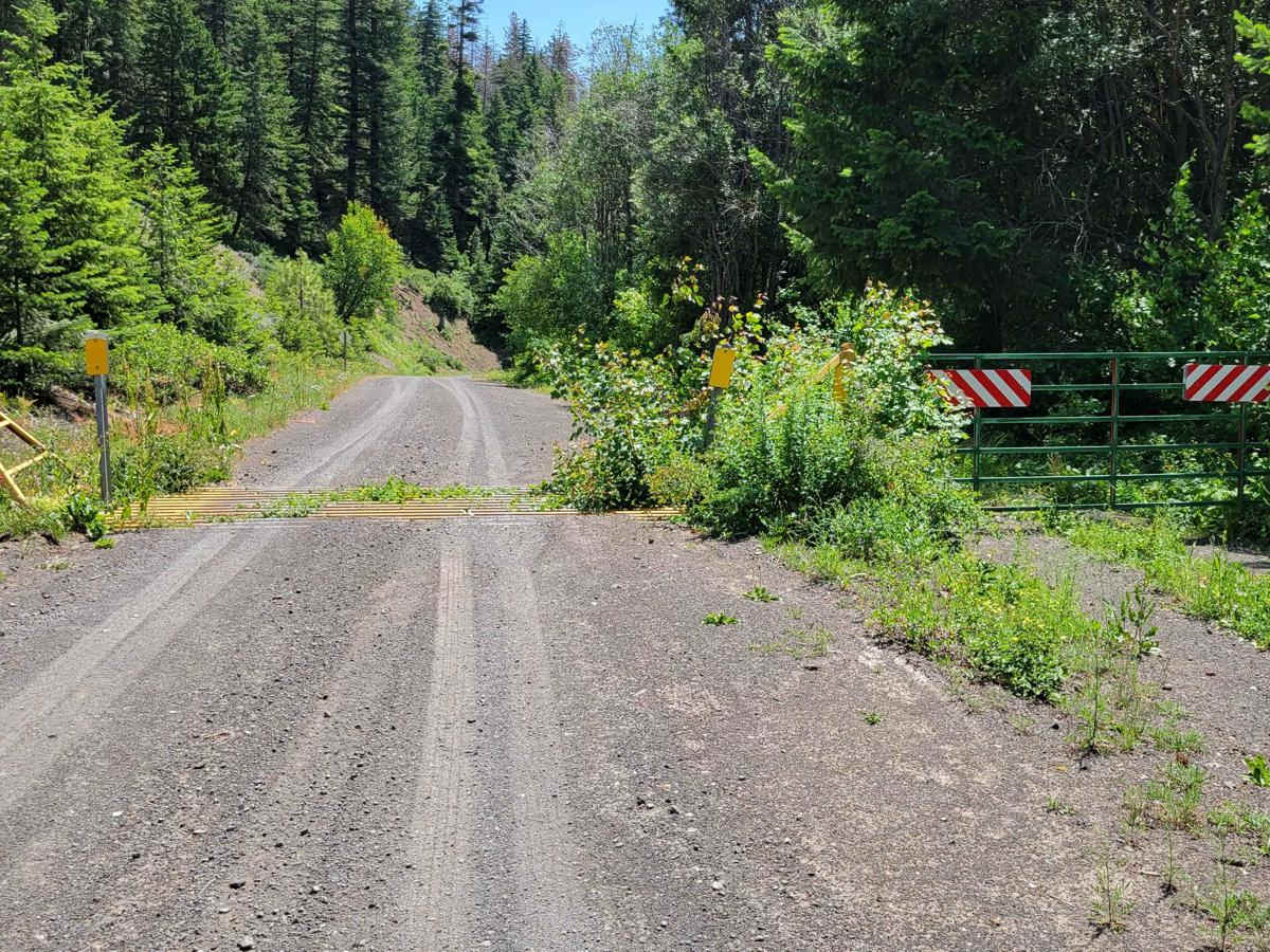 NF 43 (Eastern) - Buttermilk Libby trail photo