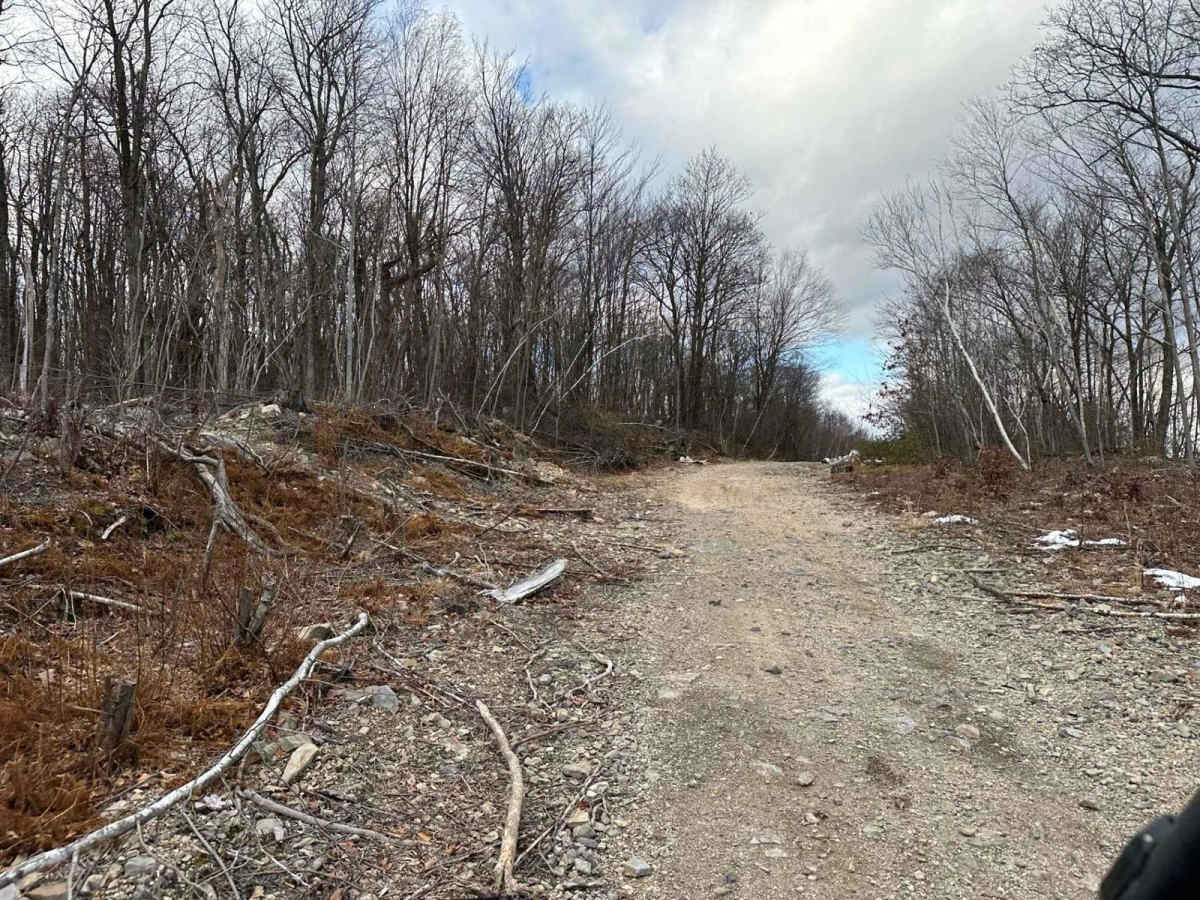 Ashland 79 photo 5