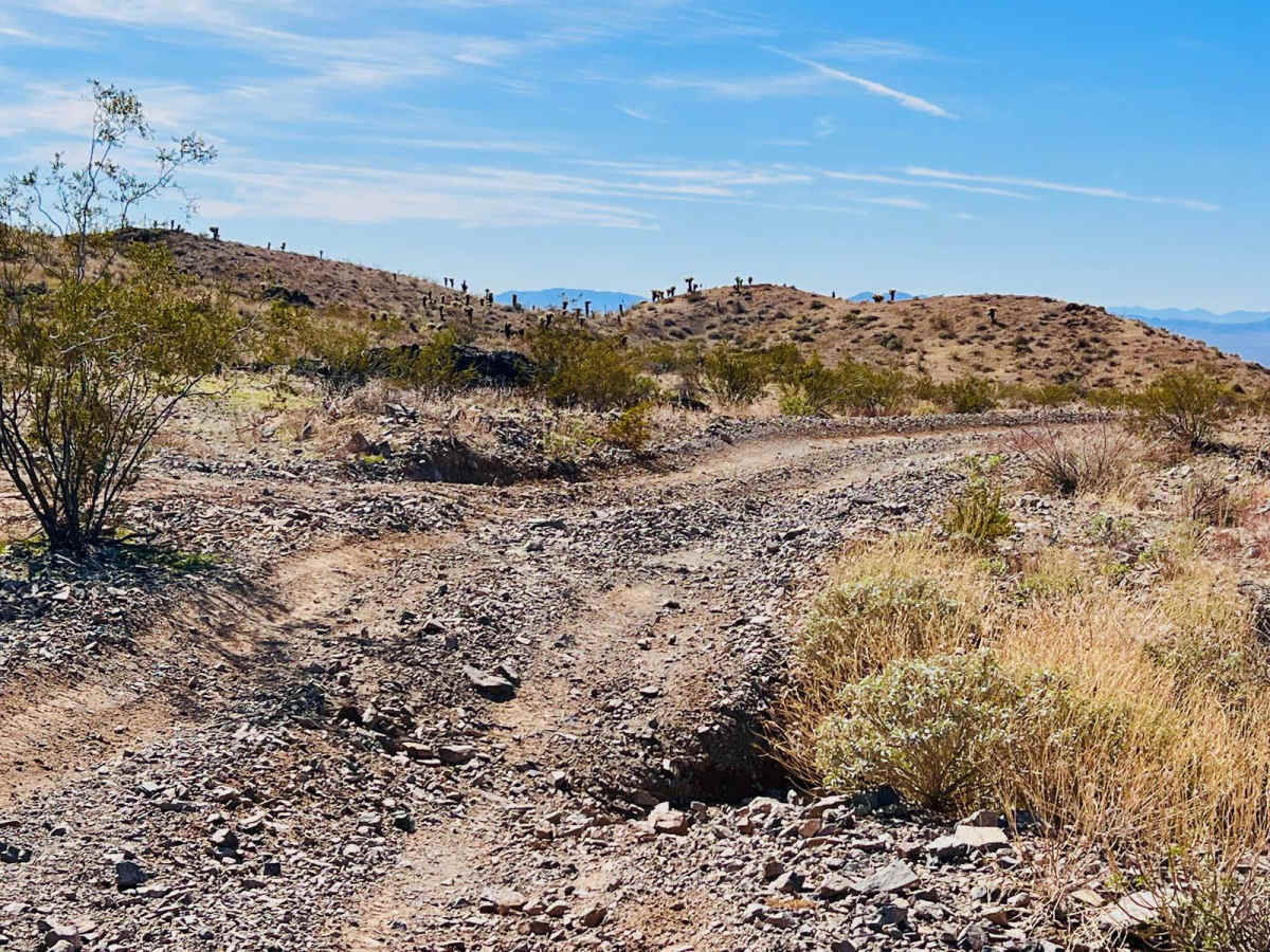 Oatman Quarry AZ Peace Trail to Linda Mine Cutover photo 2