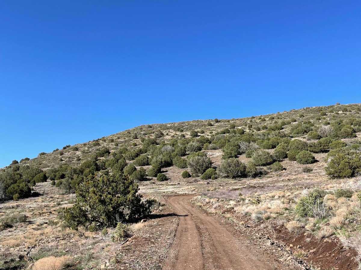 Porcupine Climb photo 4