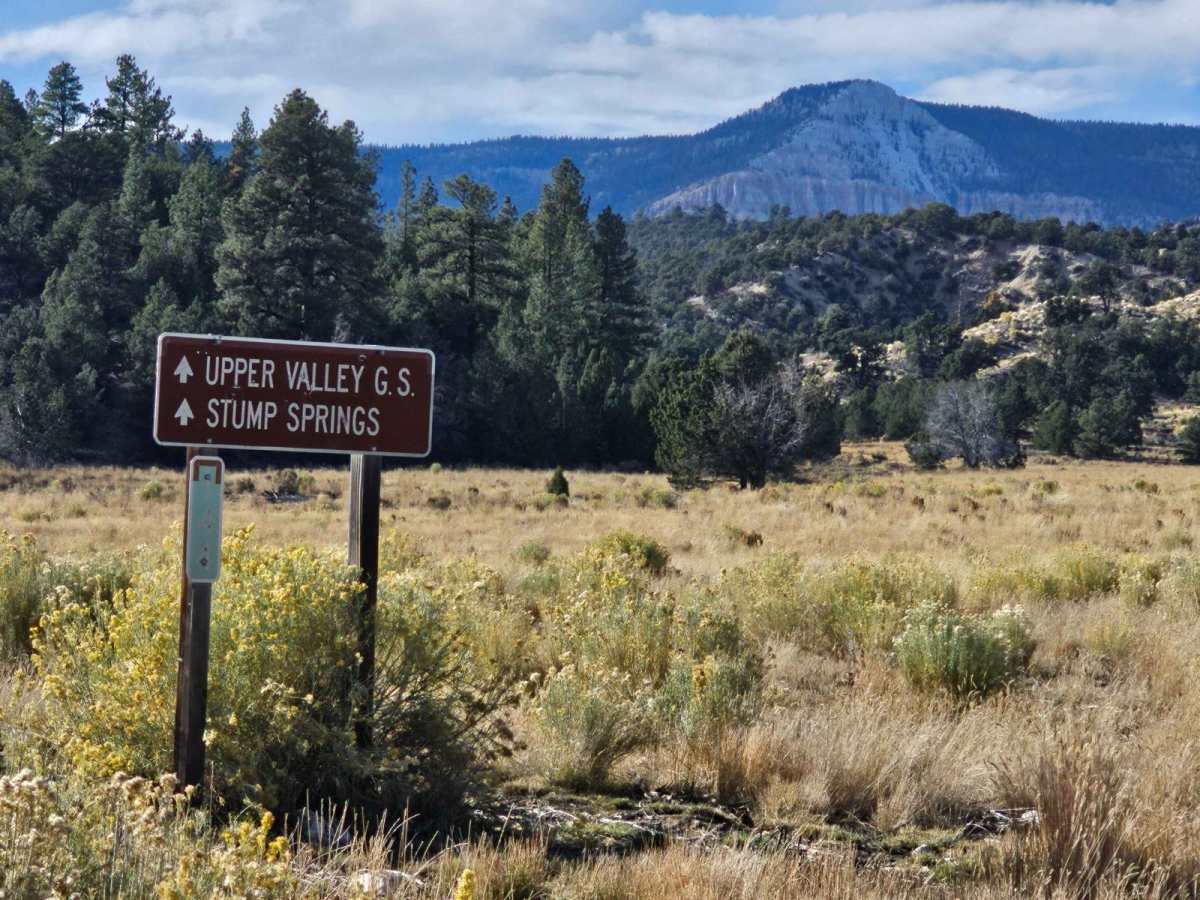 Corn Creek-Stump Springs photo 3