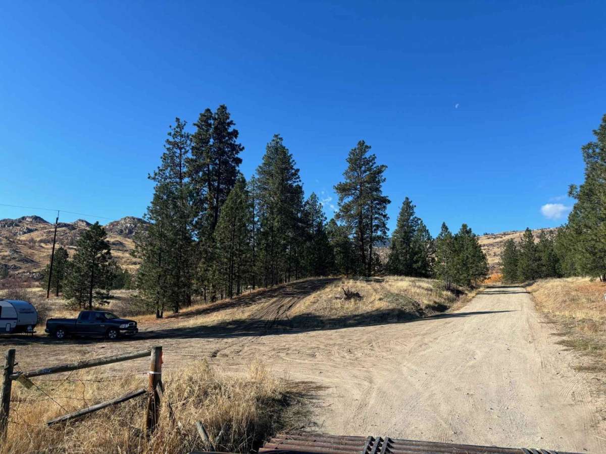 Burnell Lake Road photo 3