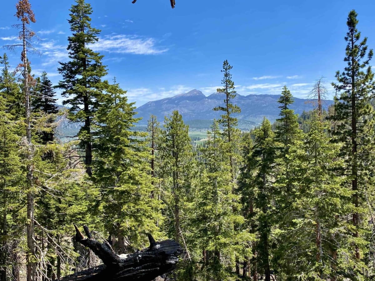 Jackass Peak trail photo