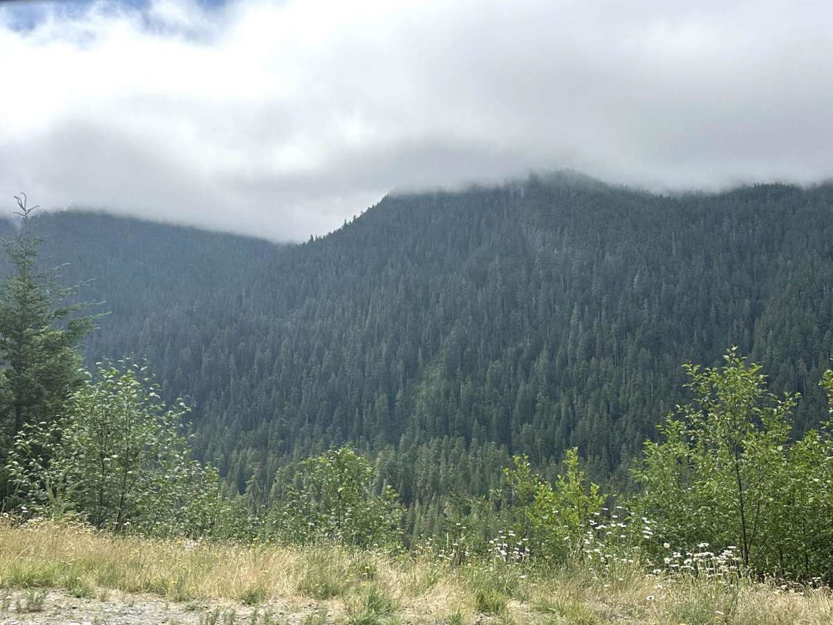 Summit Lake Trailhead photo 4