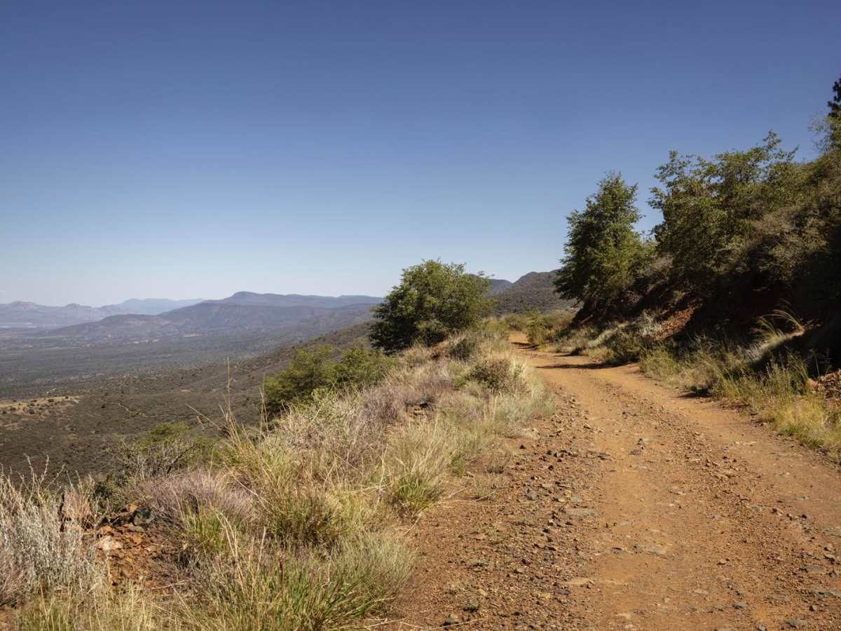 Mingus Mountain photo 6