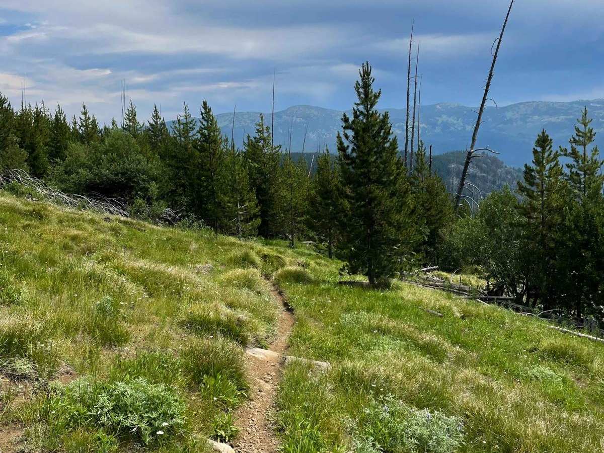 Scribner Ridge photo 3