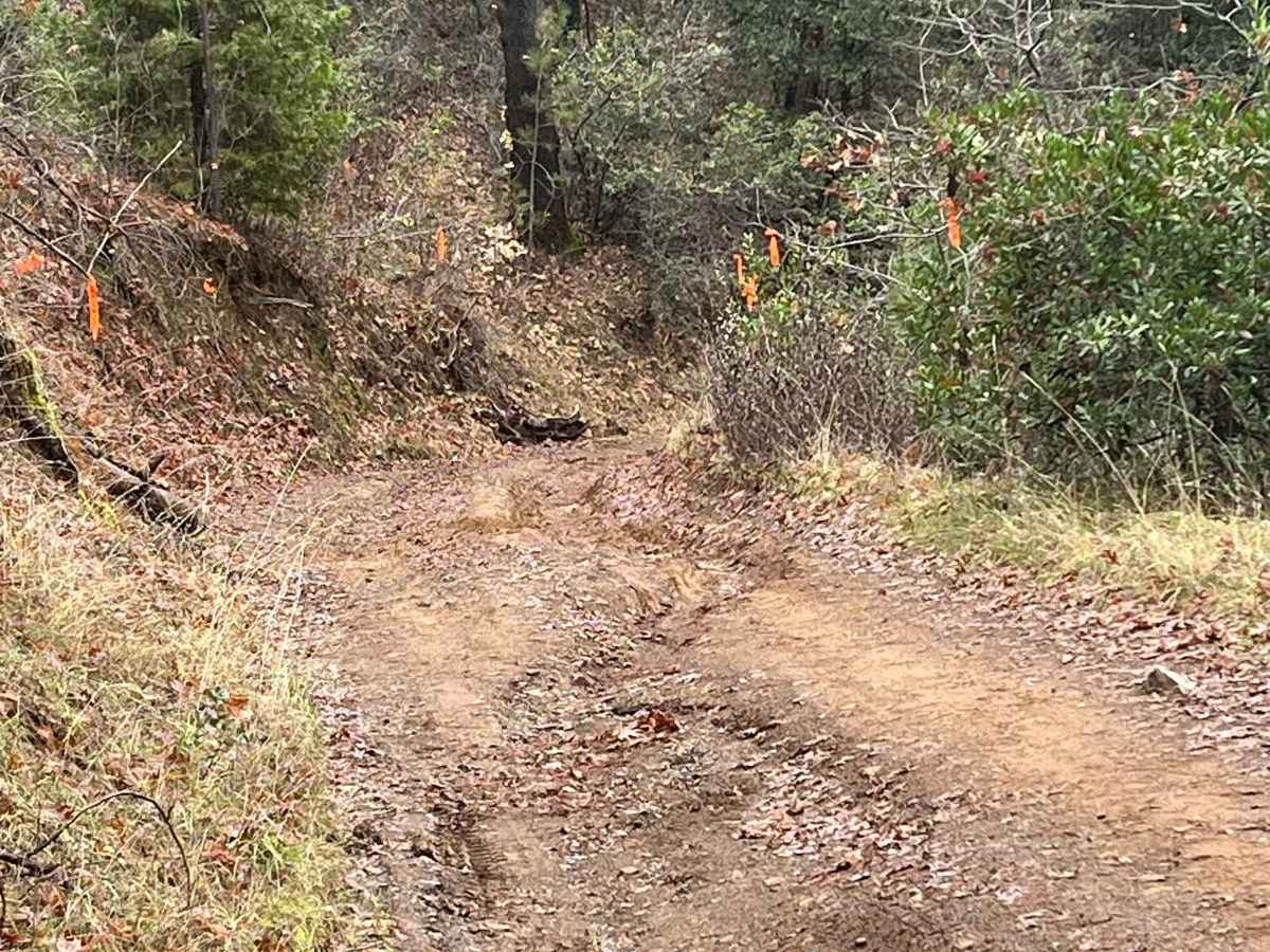 Forebay to American Camp photo 3