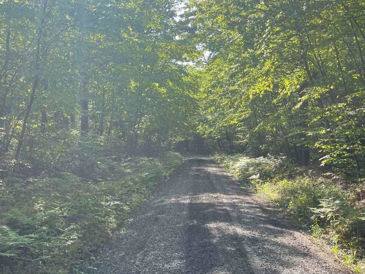 Cherry Run Road photo 5