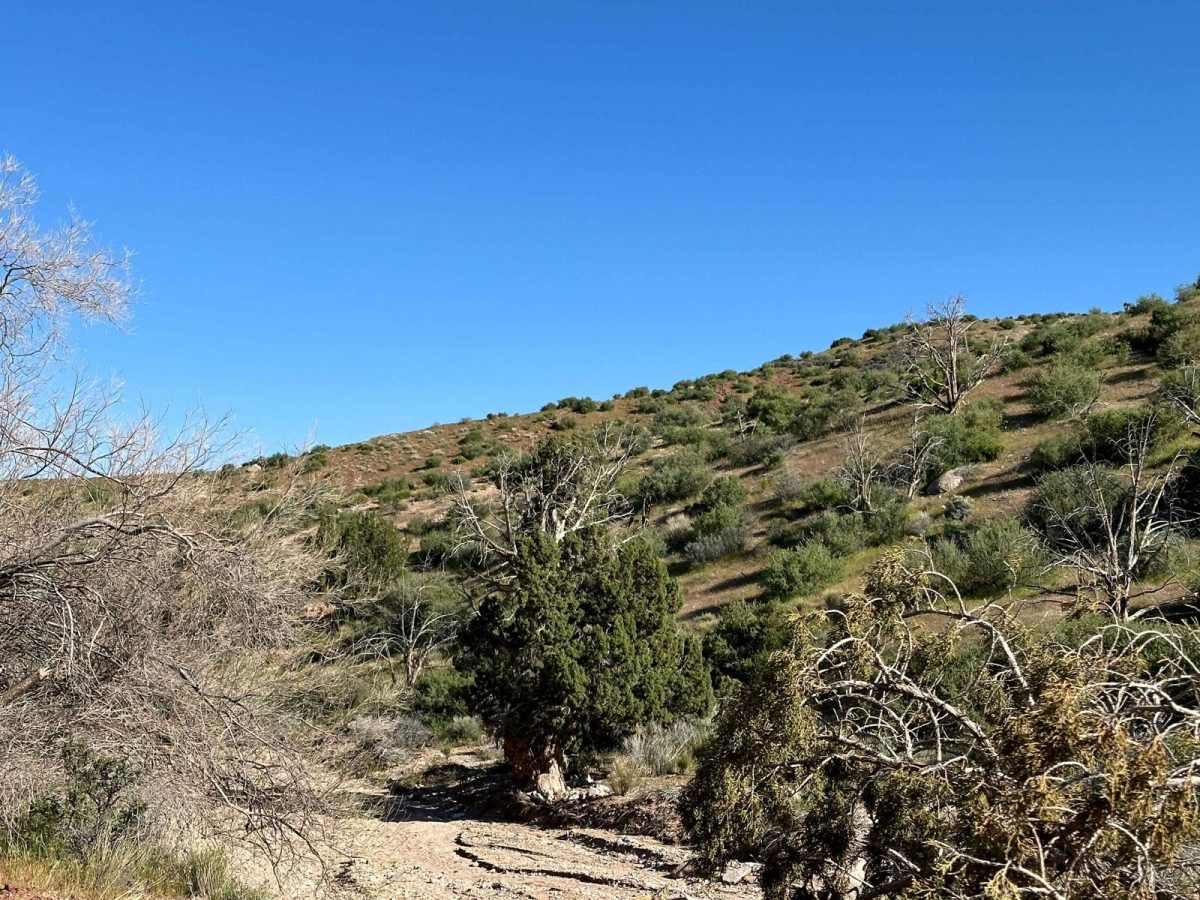 Lime Mountain Road photo 5