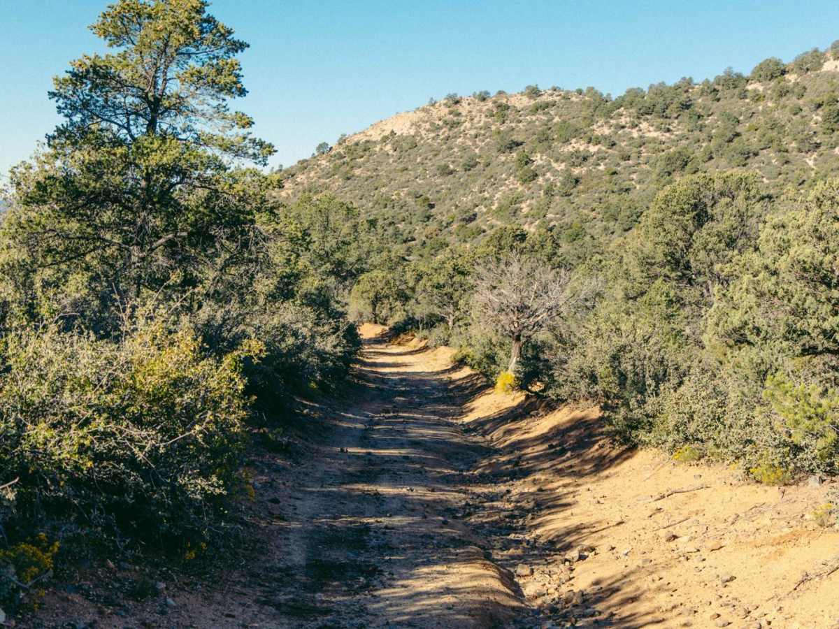 Gabrina Hill Road photo 2