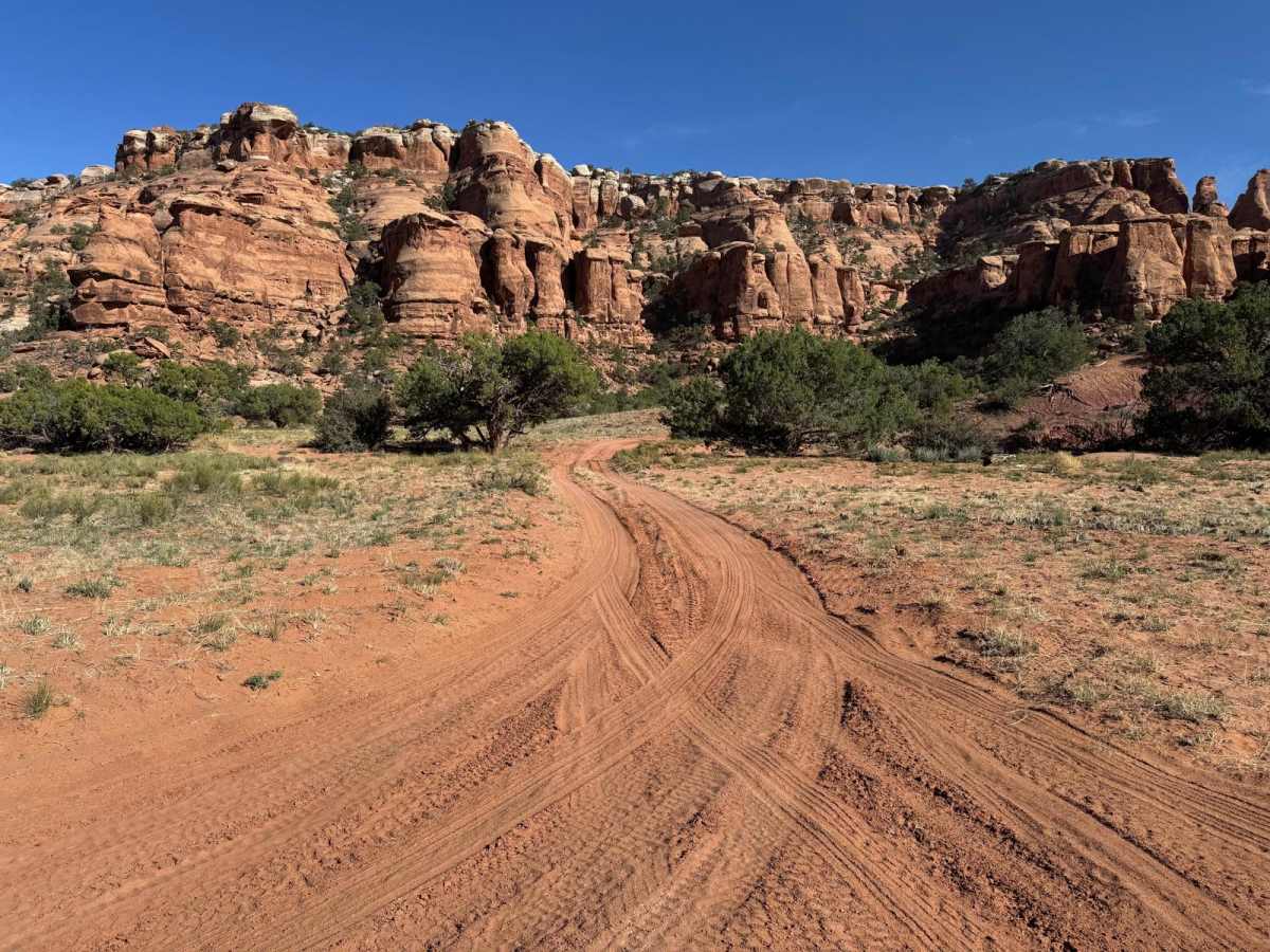 D1783 trail photo