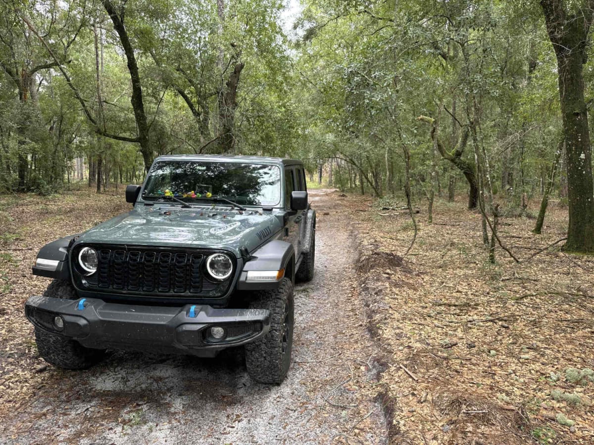 Ocala National Forest 24ST 3.2A photo 4